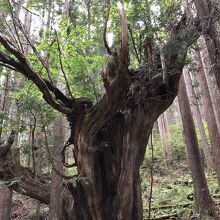 21世紀の森公園