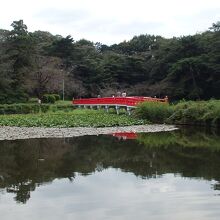 岩槻城址公園菖蒲池と八つ橋