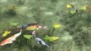 確かに絵のようです。