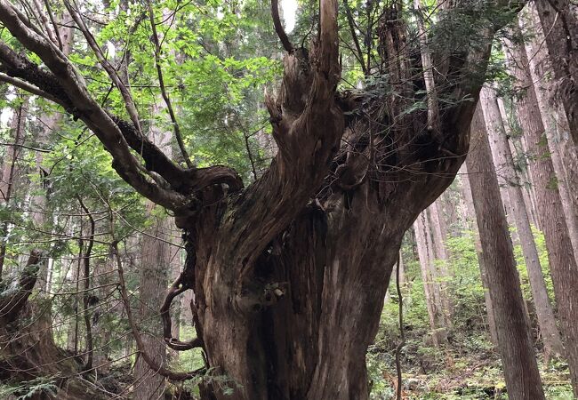 21世紀の森公園