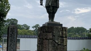 あれ、駿府城にいますよ。