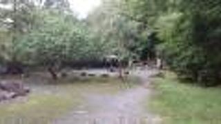 頼家の墓などある広場