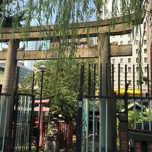 柳と鳥居