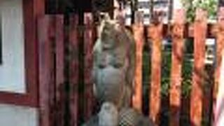 タヌキの像がユニークな神社