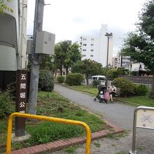 公園の様子です。