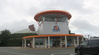 原発の展示館に隣接しています