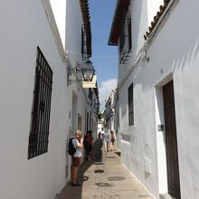 白壁が映えます