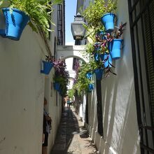 花の小径（この時期花は無い）