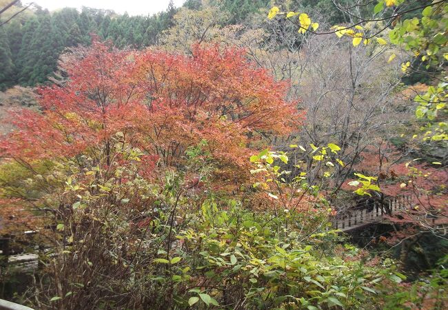 高萩のおすすめ観光スポット クチコミ人気ランキングtop17 フォートラベル 茨城県