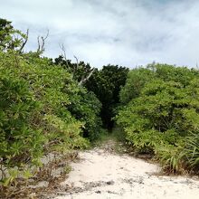 ナーラサ浜からの出口