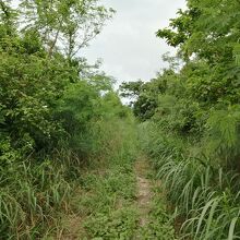 ナーラサ浜から集落への道