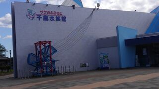 河川を覗ける水族館