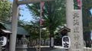 見どころが多い