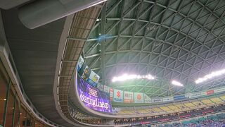 エキシビションマッチの、ドラゴンズ対ライオンズを観戦