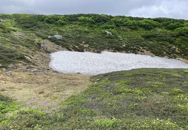 大雪山層雲峡ロープウェイ クチコミ アクセス 営業時間 層雲峡 フォートラベル 大雪山層雲峡ロープウェイ クチコミ アクセス 営業時間 層雲峡 フォートラベル