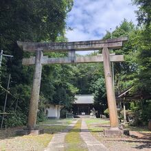 鳥居の奥に社殿が見える