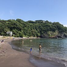 自然いっぱいの海水浴場