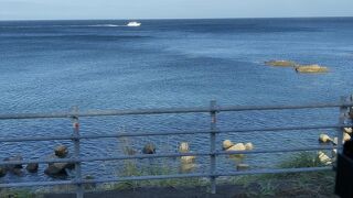 バスでドライブ