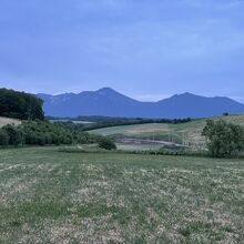 居間からの眺め