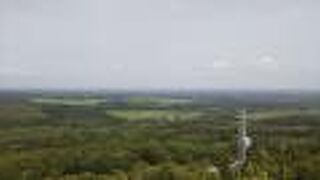 人の目線から見ても・・・