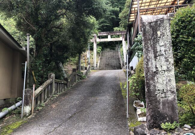 兒子神社