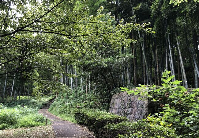 平安時代末期の荒井実継の居城跡