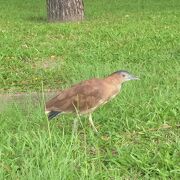 台北植物園 