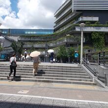 橋の様子です。