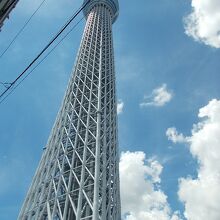 おしなり橋からの景観です。
