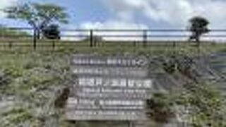 芦ノ湖がよく見える展望台