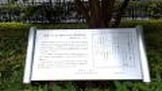 木の下は木陰になっていて、ベンチがありました。