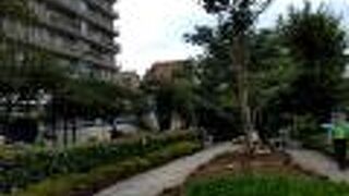 幅の広いよく整備されたなだらかな坂道です。