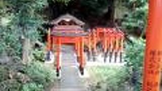 小さな子どもにとって憩いの場になっているのですね！