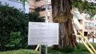 善行寺坂の上の方にあります。