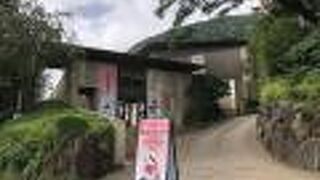 散策できるきれいな庭園