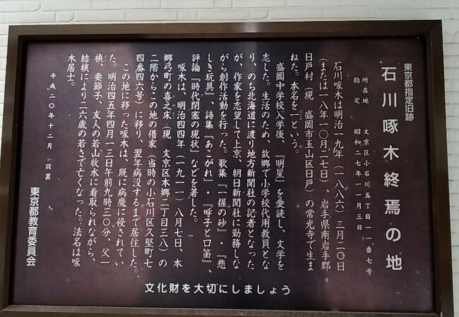 石川の奇跡 失セット0で4連勝！ キャプテンの石川真佑が語る手応え「我慢し