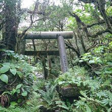 火口内にある神社