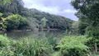 細長い池の周りを散策できます