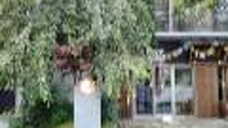 行ってみたら、マンションというか集合住宅でした。