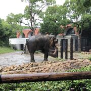 よこはま動物園ズーラシア クチコミ アクセス 営業時間 戸塚 いずみ野 港南台 フォートラベル