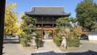 黄金色に銀杏がきれいでした！