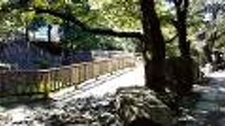 日本の都市公園100選にも選ばれています。