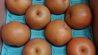 比較的大きな道の駅