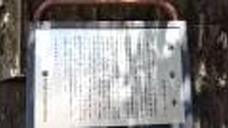 旧古川庭園の近くにある雰囲気のいい寺院です。