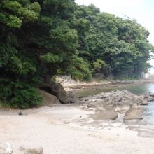 水彩画 小網代湾(三浦半島)