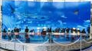 アクトアモーレ