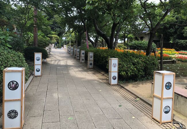 江島神社の参道沿いに灯籠が並ぶ