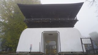 善龍寺の山門