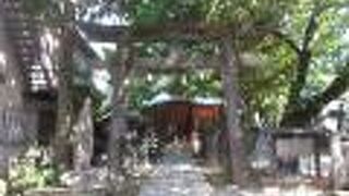 大きな古い石灯籠が残っています。