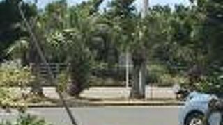 カピバラのいる道の駅